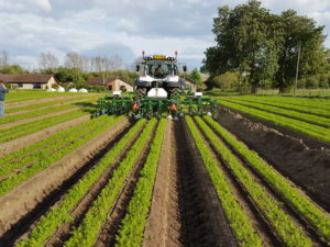 Field with Band and Hooded Sprayer