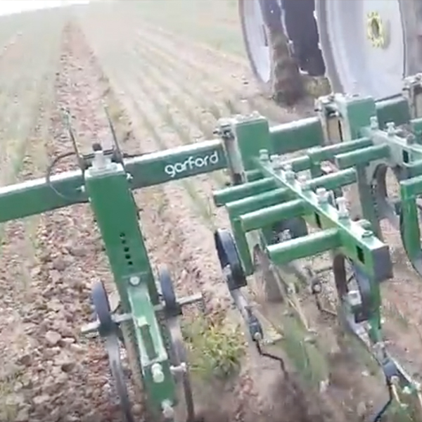 Robocrop Guided Hoes - Onions