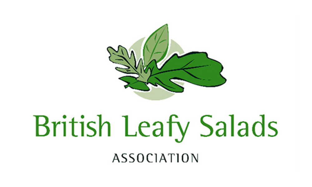 British Leafy Salads Demo Day 2023